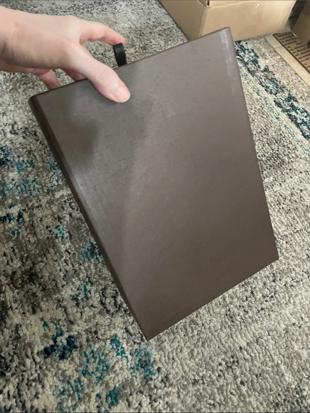 Louis Vuitton Brown and Cream Slide shoe Box leather pull tab